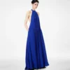 Vestido de noche de seda con cuello halter y plisado Sunray Vestido de noche de seda con cuello halter y plisado Sunray